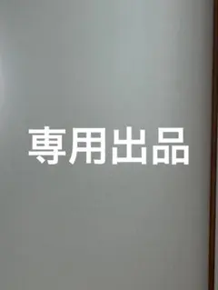 専用出品