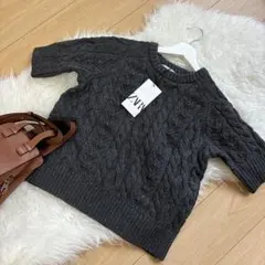 ZARA 半袖ケーブルニット