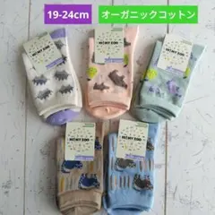 ② クルーソックス 5足セット 19-24cm オーガニックコットン 靴下 動物