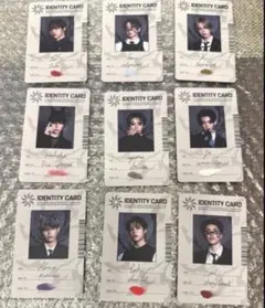 &TEAM 月狼 IDENTITY CARD トレカ コンプ9枚セット