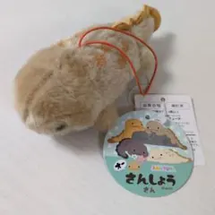 オーさんしょうさん VMC2種セット オオサンショウウオ マスコット