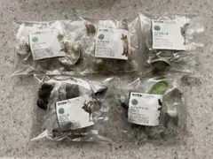 Item thumbnail for item d5b7623c-8f32-4e92-94cd-d60e8ecb2551