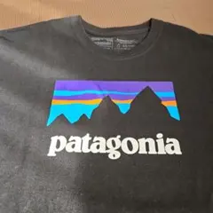 パタゴニア、黒色、M