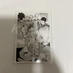 ハイキュー!! 10thクロニクル 思い出スナップフォトカード 音駒高校