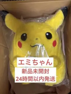 ポケットモンスター ポケモン30周年記念 おかえり！ピカチュウ1/1