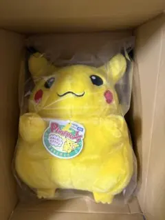 ポケモン30周年記念 おかえり！ピカチュウ1／1(1個)