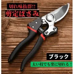 ◎高級 剪定鋏 黒 剪定はさみ 剪定バサミ 園芸 家庭菜園 庭 植木 枝切りのサムネイル