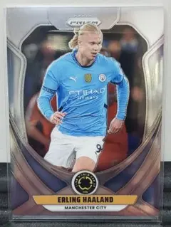 ハーランド　パッチ付メモラビリア　シリアルカード二枚セット ハーランド パッチ付メモラビリア シリアルカード二枚セット