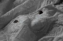 Item thumbnail for item 9d10d53e-023f-4c81-9eec-680419dab5d9