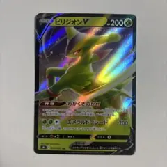 ビリジオンV RR S9a バトルリージョン 010/067