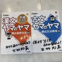漢文・古文 ヤマのヤマ 参考書セット