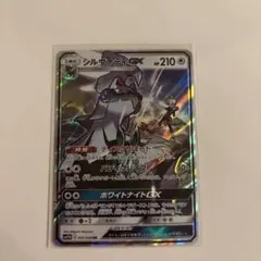 シルヴァディgxのサムネイル