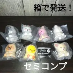 【匿名配送】skzoo　ライトマスコット　ガチャ　　セミコンプリート　７個