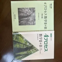 Item thumbnail for item 95d37d13-a3e9-4e28-ad43-faf8a85b4807