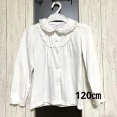 フォーマル ブラウス レース 丸襟 入学式 冠婚葬祭 女の子 120㎝