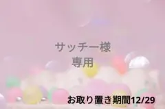 サッチー様❁⃘*.゜専用ページ『5292』ハンドメイドピアス