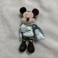 東京ディズニーシー 24周年 ミッキーマウス ぬいぐるみバッジ