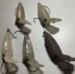 【限定オリカラ】　ウッサs エリアトラウト