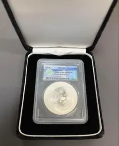 2026年最新】スラブ銀貨の人気アイテム - メルカリ