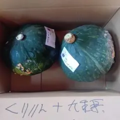 くりりんかぼちゃ、白栗かぼちゃの 2種セット 4個 総重量9.7㎏ - メルカリ