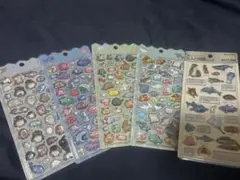 ボンボンドロップシール・3D大人の図鑑シール　水族館限定