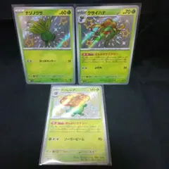 2026年最新】ラフレシアの人気アイテム - メルカリ