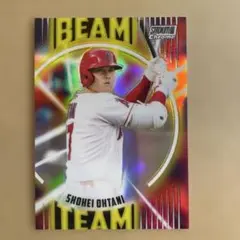 m55-25 大谷翔平 ルーキーカード No.73 - メルカリ
