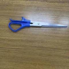 DELICALION STAINLESS NO.150 はさみ - メルカリ