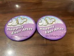 ディズニー　缶バッチ　Walt Disney World