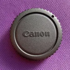 Item thumbnail for item 199a25a1-f3be-431a-aaa3-d90e0a3f0ded