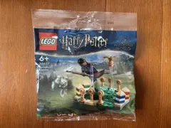 LEGO 【新品未開封】Harry Potter 30651 クィディッチ練習