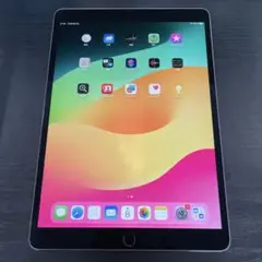 ipad 本体 10世代