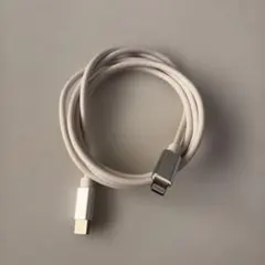 USB Type-C Lightning ケーブル　1m