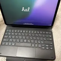 iPad pro 11 第1世代 256GB