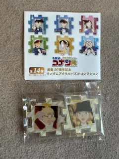 名探偵コナン 連載30周年 コナン展 アクリルパズルコレクション 灰原哀