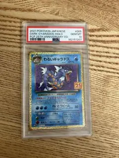 わるいギャラドス 25th PSA10 ポケモンカード ワンオーナー品 - メルカリ