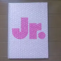 期間限定出品】ジャニーズJr. Spring Concert 1999 パンフ - メルカリ