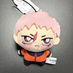 TVアニメ「呪術廻戦」ちょぴぬいぷち　虎杖　②