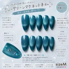 ちゅるんブルーマグネット 裏キラ仕込み 透明感ネイル 韓国ネイル ワンホン