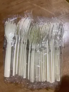 Item thumbnail for item 8769c549-f837-4325-bf80-2fc016a46008