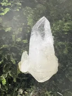 龍脈の精髄 クラスター 宮崎の山が授けた浄化と守護 売上一部