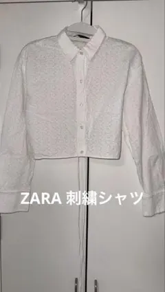 ZARA 【美品】 刺繍シャツ