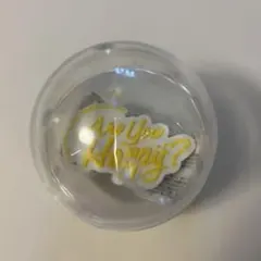 we are arashi 2026 / Are You Happy