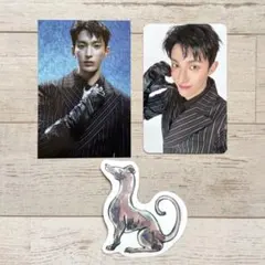 SEVENTEEN セブチ シーグリ 2026 トレカ ドギョム セット