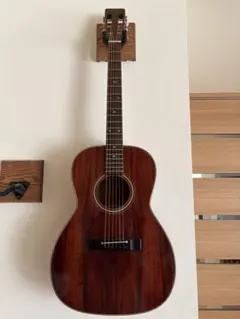 【希少】Takamine PTN-006 ハワイアンコアのサムネイル