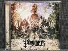 【PROMPTS】【SOLSTICE】【メタルコア】