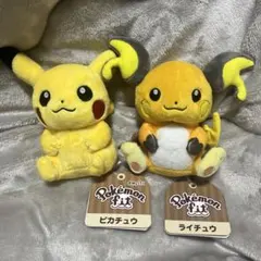 ポケモンfit ピカチュウ ライチュウ 旧タグ