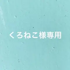 【専用】忍たま乱太郎　不破雷蔵　尾浜勘右衛門　アクリルスタンド