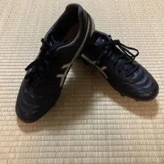 asics DS LIGHT プロ　カンガルー皮モデル 26cmのサムネイル