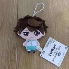 ハイキュー　ぬいぐるみちゃーむvol.1 及川徹